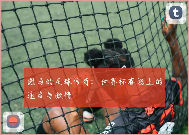 彪马的足球传奇:世界杯赛场上的速度与激情