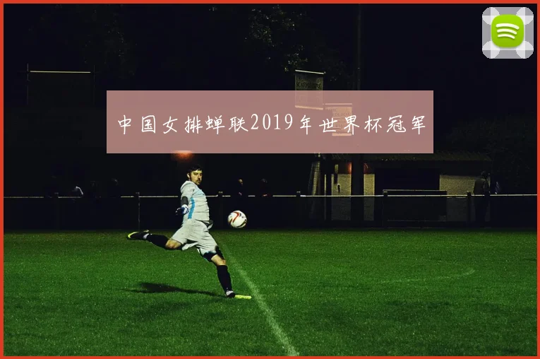 中国女排蝉联2019年世界杯冠军